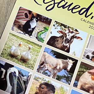 Peta Rescued | Office | Peta Rescued 222 6 Month Calendar | Poshmark